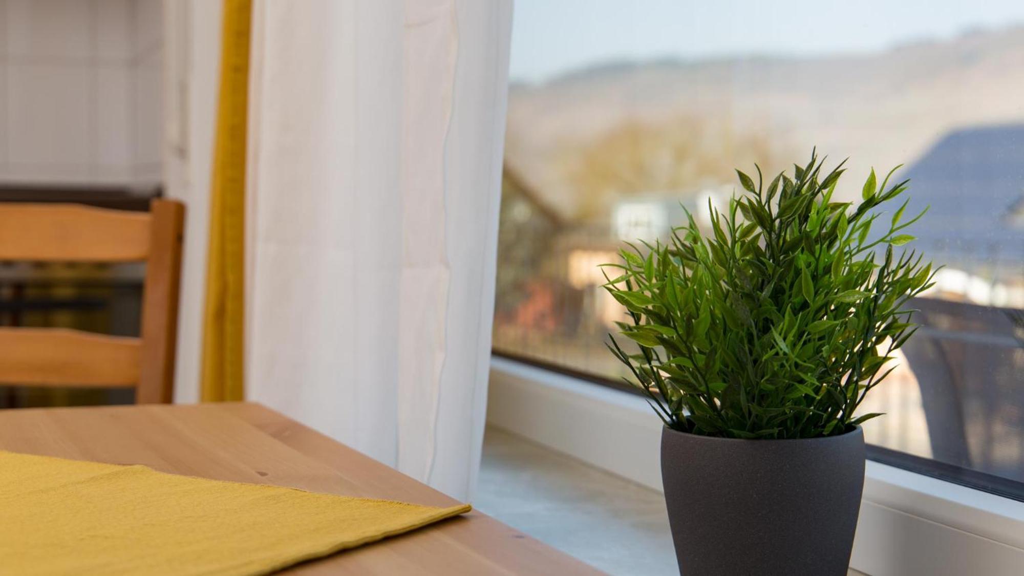 Weingut Roth Apartment Kindel ภายนอก รูปภาพ